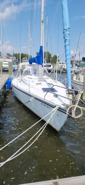 
								USA 1987 Hunter Legend 40 USD full									