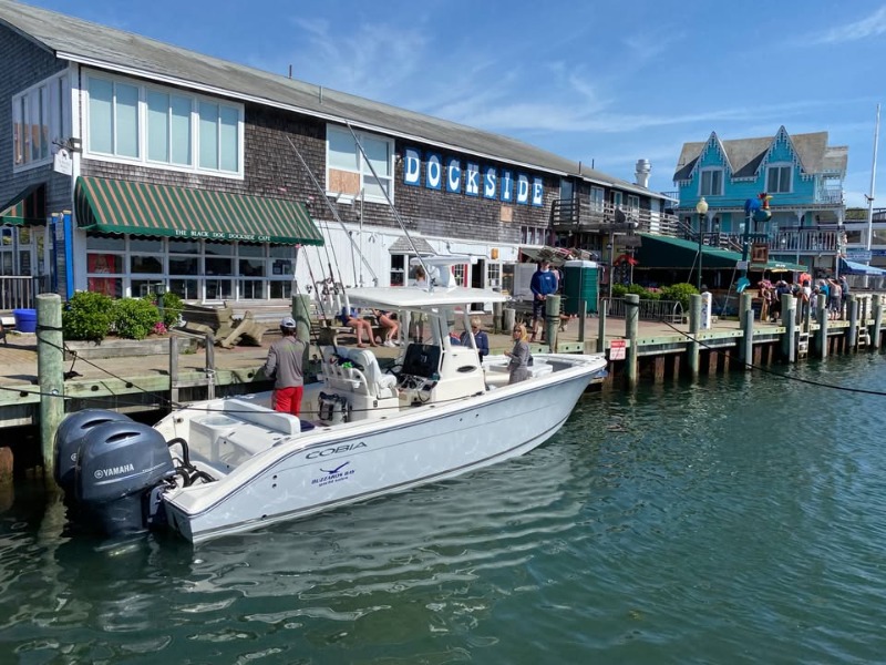 
								USA 2020 Cobia 280 cc USD full									