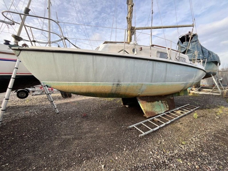 
								Kingfisher 26 1969 full									